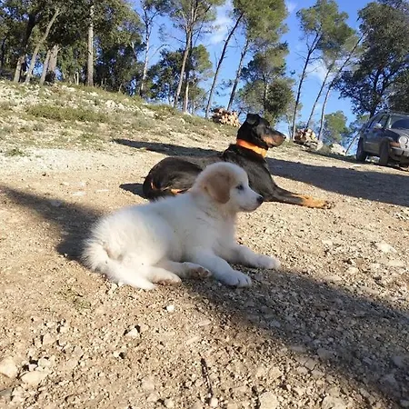 Mas Serre Plume Bed & Breakfast