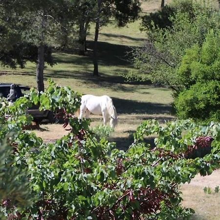 Mas Serre Plume Bed & Breakfast *