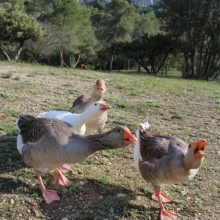 Bed & Breakfast Mas Serre Plume *