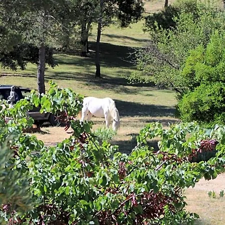 Mas Serre Plume Bed & Breakfast *